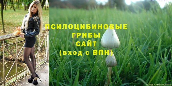 дживик Алзамай