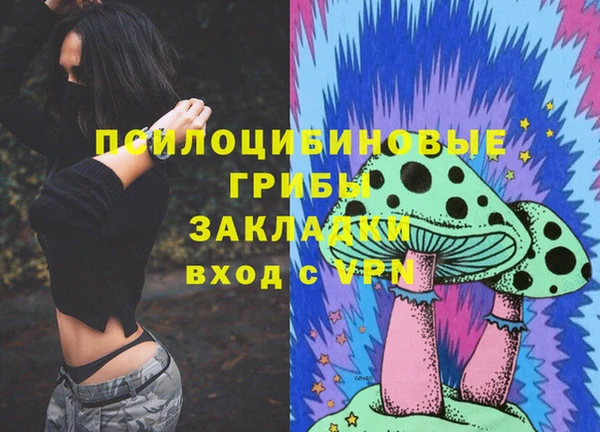 дживик Алзамай