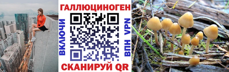 ОМГ ОМГ сайт  Балей  Галлюциногенные грибы MAGIC MUSHROOMS  купить закладку 